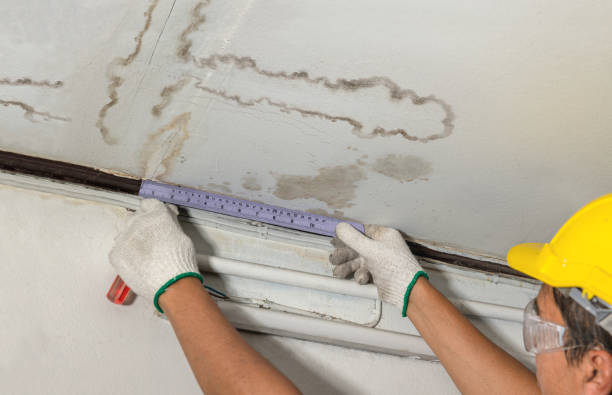 Reliable Water Damage contractor in Dixfield, ME by Water Damage Irwin